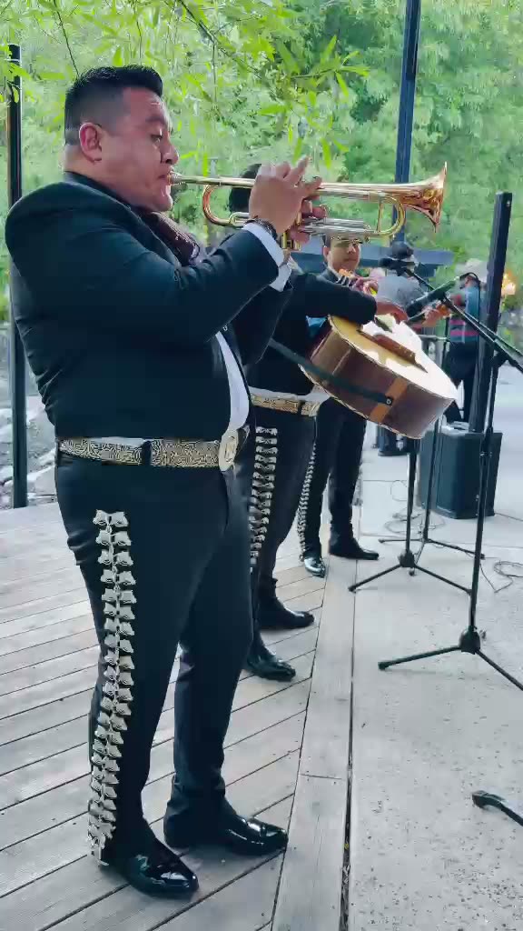 Outdoor Serenade thumbnail